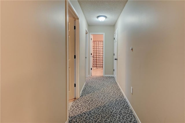 8424 NE 109th Pl, Kansas City, MO 64157 - photo 47