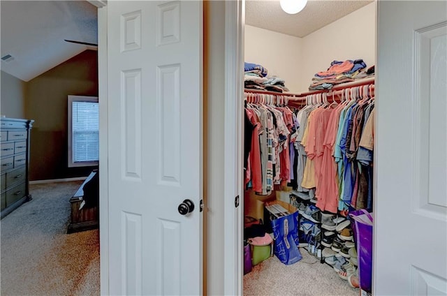 8424 NE 109th Pl, Kansas City, MO 64157 - photo 61