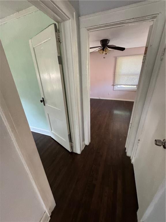 5647 Wayne Ave, Kansas City, MO 64110 - corridor featuring dark wood-type flooring