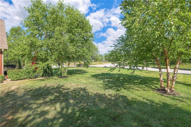 14851 Meadow Ln, Leawood, KS 66224 - photo 47
