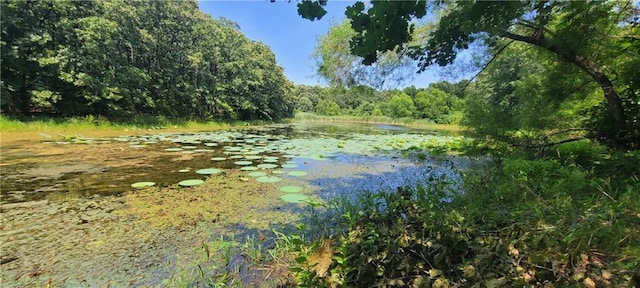 561 SW County Road O, Holden, MO 64040 - water view with a heavily wooded area