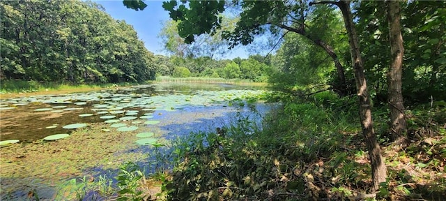 561 SW County Road O, Holden, MO 64040 - water view with a forest