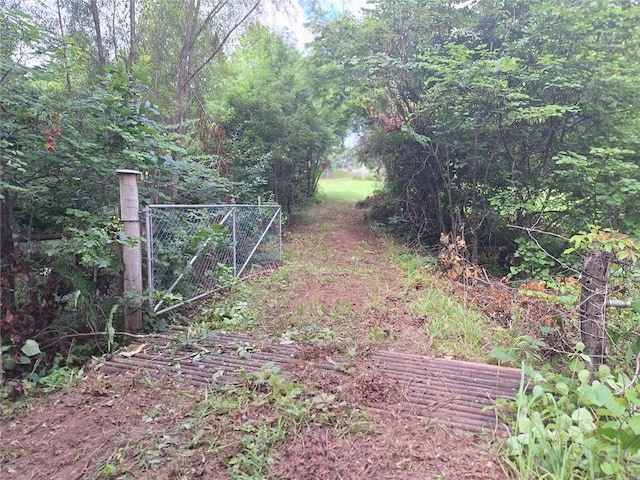 561 SW County Road O, Holden, MO 64040 - view of yard