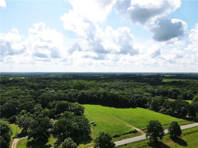 561 SW County Road O, Holden, MO 64040 - bird's eye view of a forest