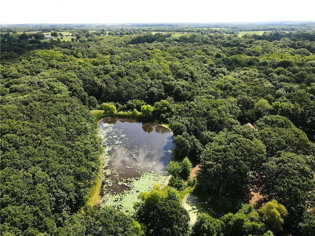 561 SW County Road O, Holden, MO 64040 - drone / aerial view of a large body of water and a heavily wooded area