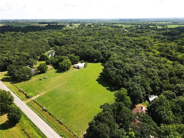 561 SW County Road O, Holden, MO 64040 - bird's eye view of a forest