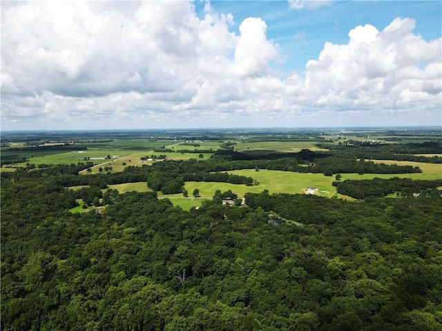 561 SW County Road O, Holden, MO 64040 - bird's eye view of a forest