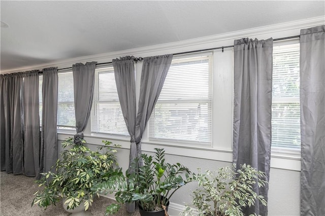 3433 Agnes Ave, Kansas City, MO 64128 - photo 28