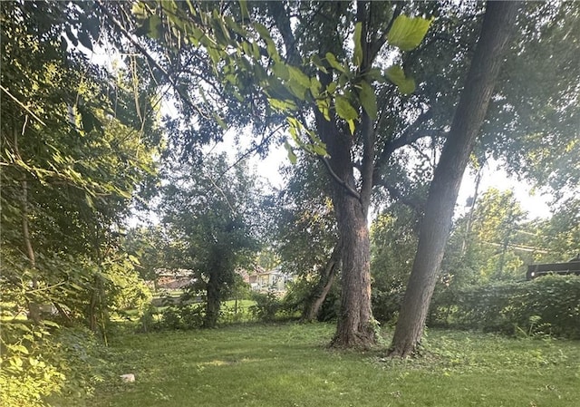 2209 E 72nd St, Kansas City, MO 64132 - view of green lawn