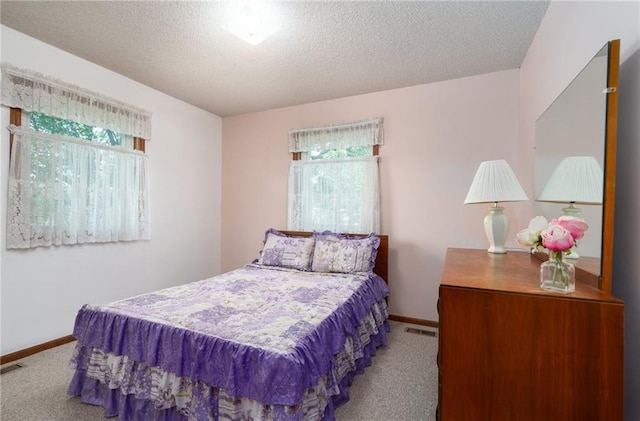 596 E 1732nd Rd, Baldwin City, KS 66006 - bedroom with carpet, multiple windows, and a textured ceiling