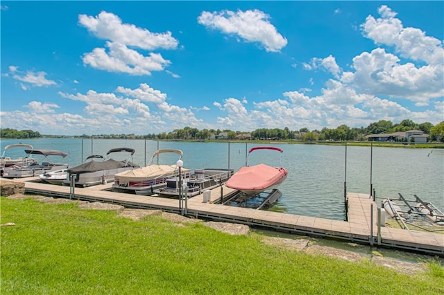 4668 SW Soldier Dr, Lees Summit, MO 64082 - photo 32