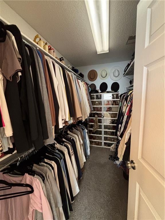 1840 W Fredrickson Cir, Olathe, KS 66061 - walk in closet with carpet