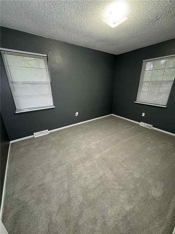 213 SW Palo Dr, Blue Springs, MO 64014 - carpeted empty room with a textured ceiling