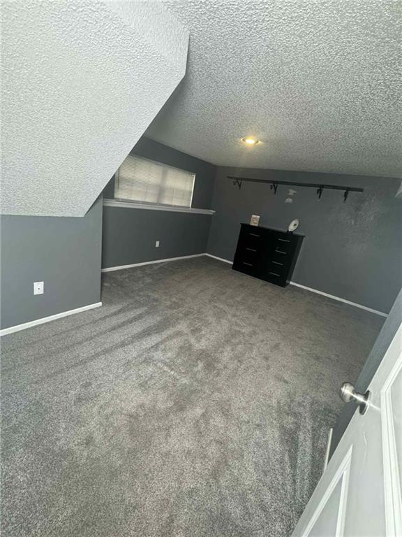 213 SW Palo Dr, Blue Springs, MO 64014 - additional living space with a textured ceiling and carpet floors