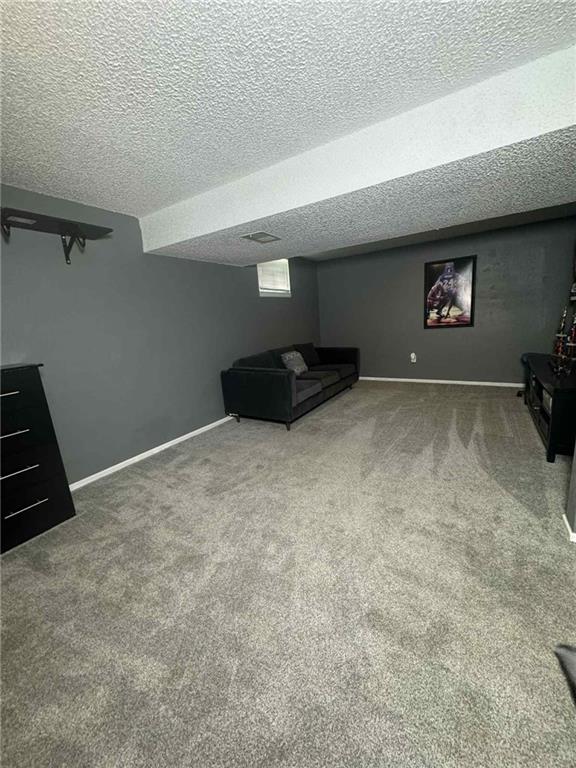 213 SW Palo Dr, Blue Springs, MO 64014 - finished below grade area featuring carpet and a textured ceiling