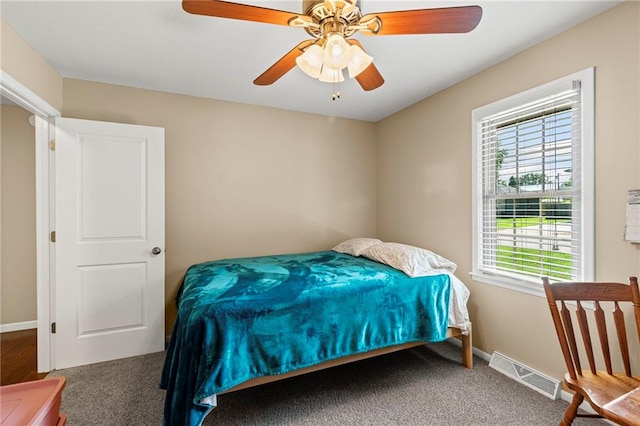 1306 Ruby St, Carrollton, MO 64633 - bedroom featuring multiple windows, carpet flooring, and a ceiling fan