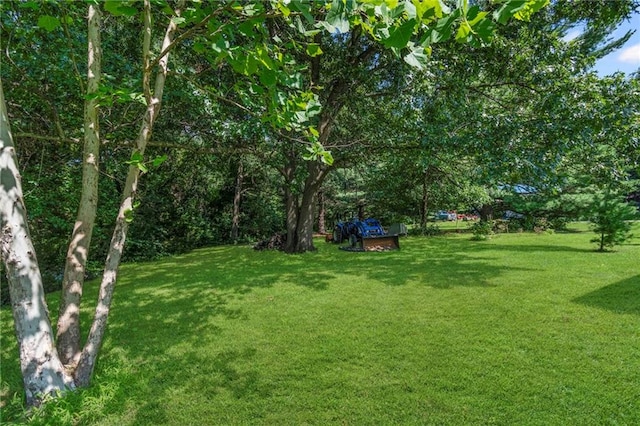 1306 Ruby St, Carrollton, MO 64633 - view of grassy yard