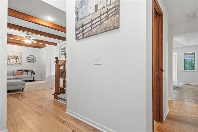 8270 W 172nd Ter, Overland Park, KS 66085 - photo 7