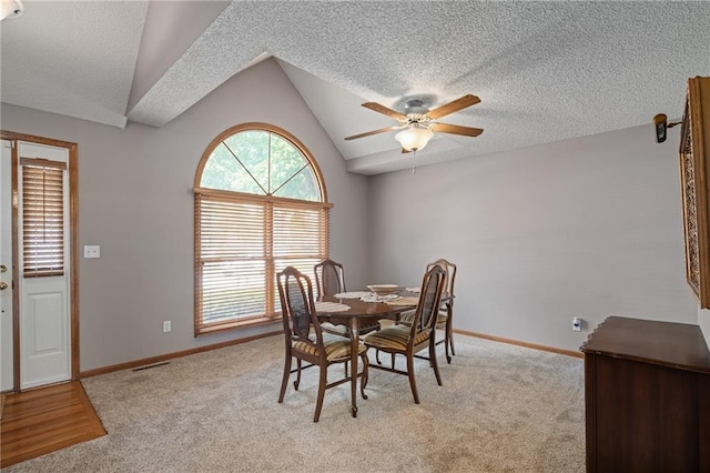 4309 NE Blue Jay Cir, Lees Summit, MO 64064 - photo 13