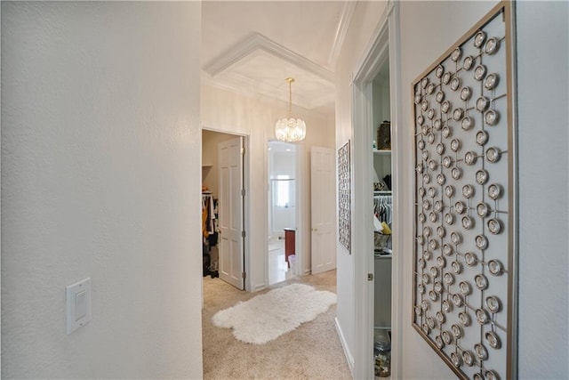 1702 Cedar Ridge Rd, Parsons, KS 67357 - hallway featuring crown molding, a chandelier, and carpet floors
