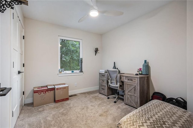 8537 NE 110th St, Kansas City, MO 64157 - photo 11