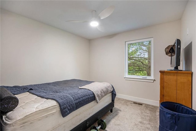 8537 NE 110th St, Kansas City, MO 64157 - photo 12