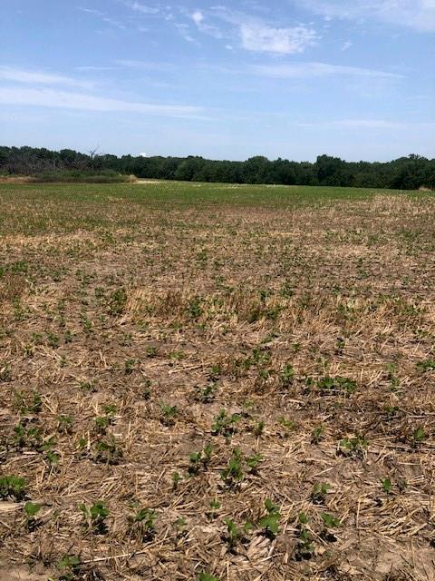 0000 W 399th St W, Lacygne, KS 66040