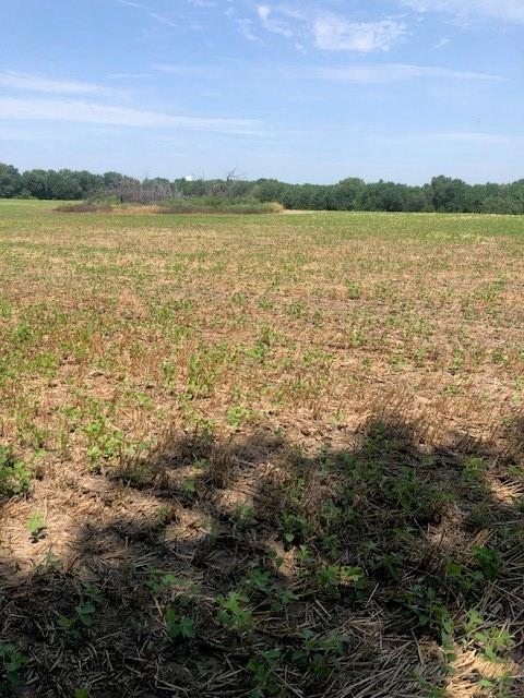 0000 W 399th St W, Lacygne, KS 66040