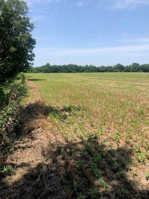 0000 W 399th St W, Lacygne, KS 66040