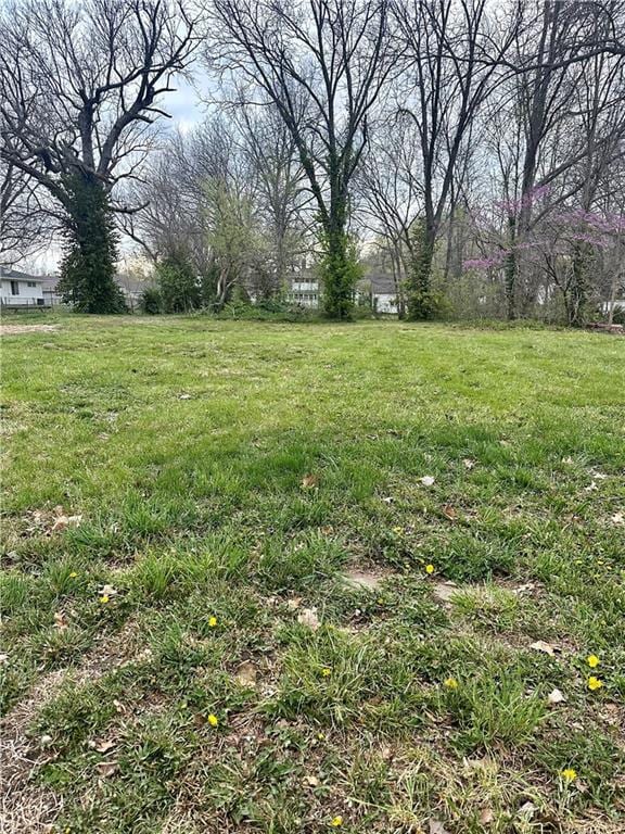 508 W Harrison St, Butler, MO 64730 - photo 4