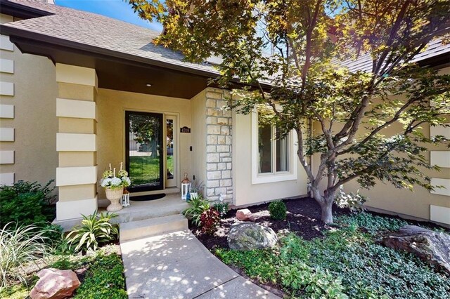4709 NW 87th St, Kansas City, MO 64154 - photo 4