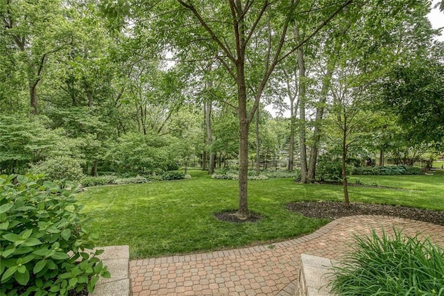 11307 W 139th Ter, Overland Park, KS 66221 - photo 5