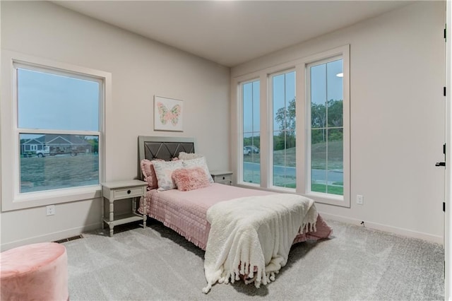 18221 W 168th Ter, Olathe, KS 66062 - bedroom featuring baseboards and light carpet