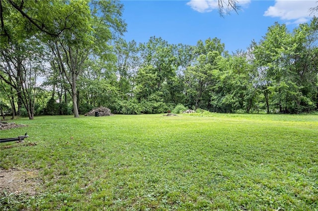 3600 Hunter Ave, Kansas City, MO 64129 - photo 23