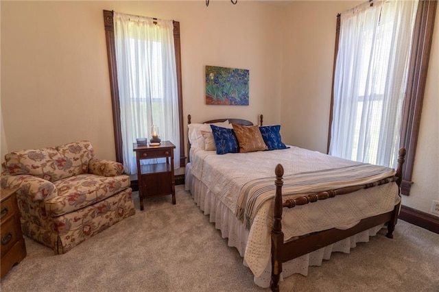 509 Gillilan St, Jamesport, MO 64648 - photo 15