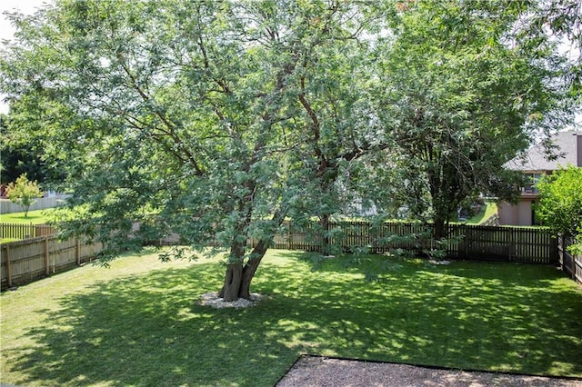 406 Fletcher Dr, Smithville, MO 64089 - photo 26