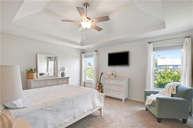 16113 S Cole St, Olathe, KS 66062 - bedroom featuring a raised ceiling, multiple windows, light colored carpet, and a ceiling fan