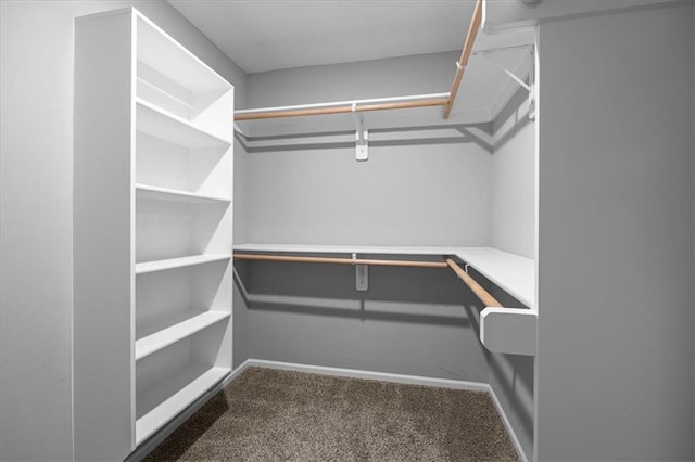 2814 N 100th St, Kansas City, KS 66109 - spacious closet with carpet floors