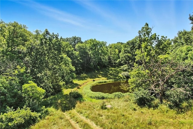 17801 State Route 33, Holt, MO 64048 - photo 34