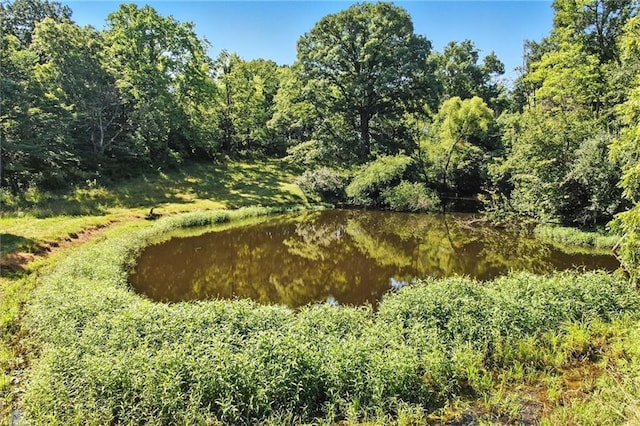 17801 State Route 33, Holt, MO 64048 - photo 36