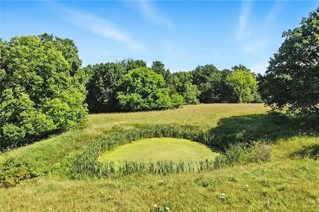 17801 State Route 33, Holt, MO 64048 - photo 48