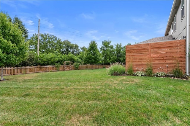 1021 SE Beatty Ct, Blue Springs, MO 64014 - photo 44