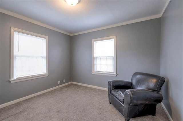 904 E 84th St, Kansas City, MO 64131 - living area with carpet floors and crown molding