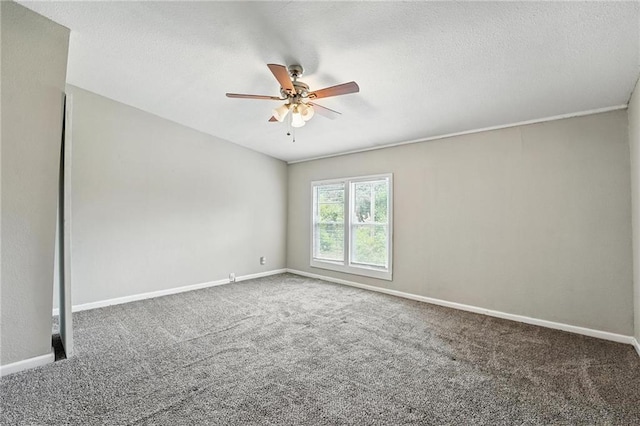 13119 Fuller Ave, Grandview, MO 64030 - photo 25