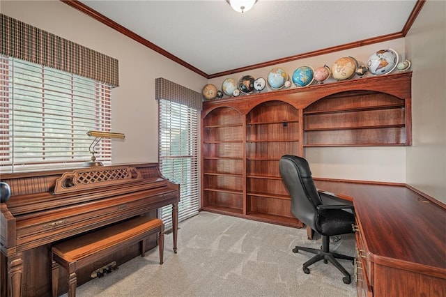 508 Ambersham Dr, Lees Summit, MO 64081 - carpeted office space featuring crown molding