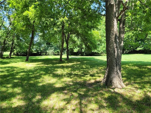 5320 NE 62nd St, Kansas City, MO 64119 - photo 2