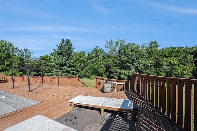 3 SE Terrace Ln, Saint Joseph, MO 64507 - photo 29