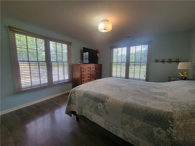 19823 74th St, Mclouth, KS 66054 - bedroom with multiple windows and dark wood-style floors