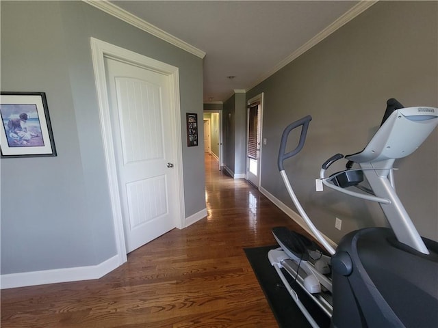 19823 74th St, Mclouth, KS 66054 - corridor featuring wood finished floors and crown molding