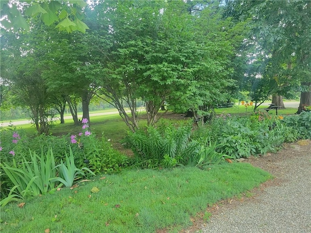 19823 74th St, Mclouth, KS 66054 - view of yard
